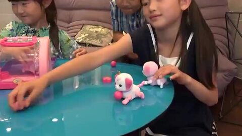 (未使用･未開封品)　ラングスジャパン(RANGS) キューティパピー ハウス付き ボールで遊び走り回る子犬 wyeba8q 715v2CLIK5L._UF894,1000_QL80_.jpg