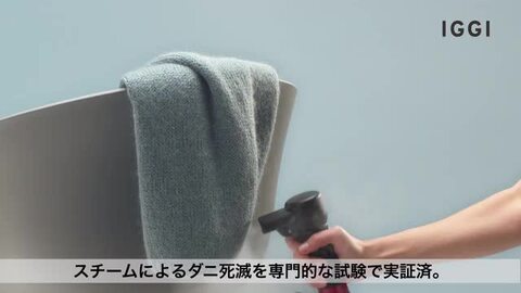IGGIスチーム 躊躇い 値下げ！！LAURASTAR