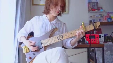 楽天市場】【5%OFFクーポン】 Phoenix カポタスト 多弦 ギター