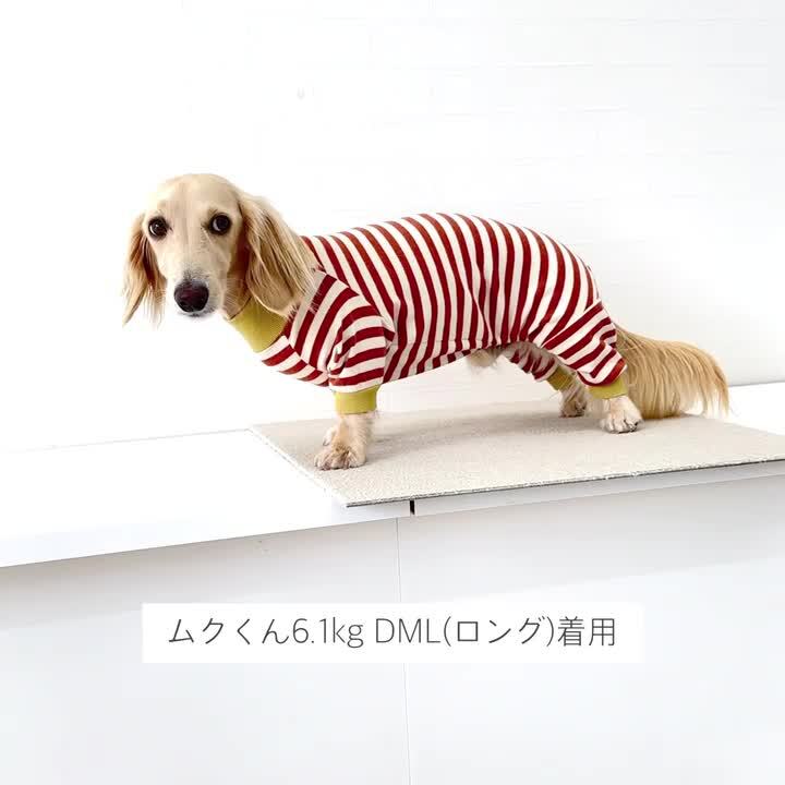 オールインワン／ロンパース サイズＤＳ 楽天市場】ボーダーカバーオール ダックスサイズ ロンパース