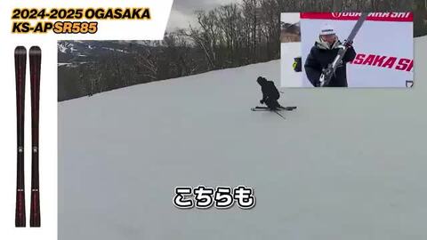 オガサカKS-NS160FM585 閃か