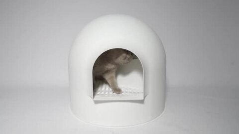 楽天市場】猫用トイレ スノードームタイプ 猫用トイレ スノードーム型 
