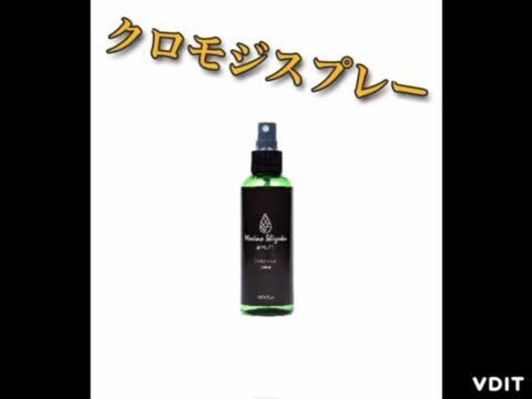 透き通る美しさ。。山採りクロモジ。 美形。山採り単幹クロモジ。 （楽天市場】【現品】山採り