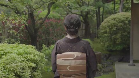 福島一紘作　お抹茶腕　共箱付いてます。最終お値下げとなります。 楽天市場】【ふるさと納税】宮崎日本茶専門店 高級日本茶ギフト