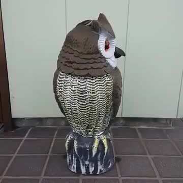 小型フクロウ用 ケージ 極美品