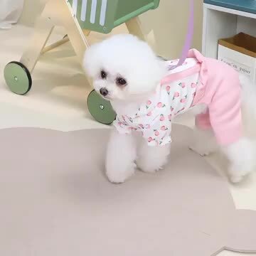 楽天市場】【期間限定P5倍】犬の服 ロンパース ドッグウェア