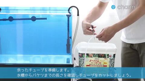 楽天市場】水合わせDXキット（説明書＆おまけバケツ付き） お