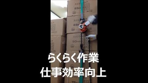 【楽天ランキング1位受賞】レバーホイスト2ton 2000kg 2トン (1000kg,1ton,1トン以上) 高品質チェーンブロック  チェーンホイスト チェンホイスト レバー式ブロック 荷締機 ガチャ がちゃ チェーン長さ1.5m ベストアンサーの宝ショップ