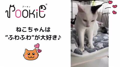 楽天市場】◇楽天 ランキング 1位◇POOKIE 猫 ベッド 冬 ペットベッド かわいい ケージ用 マット もぐる 洗える 暖かい あったか ケージ  ふわふわ もちもち 35x50cm fluffy mat 四隅紐付き 洗えるマット リバーシブル レッド グレー /POOKIE ケージ用マット :  雑貨ペット ...