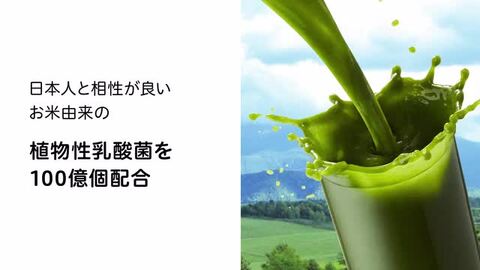 楽天市場】世田谷自然食品 乳酸菌が入った青汁 100億個の乳酸菌