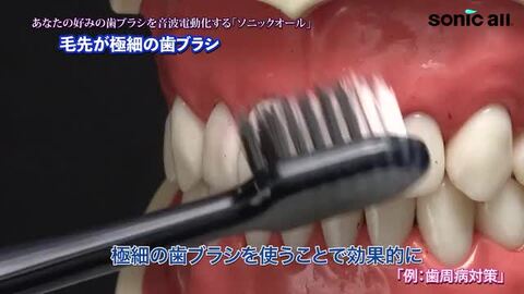 楽天市場】☆楽天ランキング1位獲得☆【公式】ソニックオール