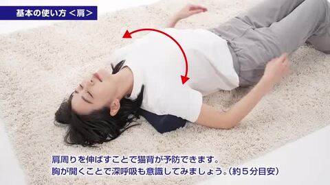 楽天市場】ファイテン 星のやすらぎエアロクレイドル ボディ