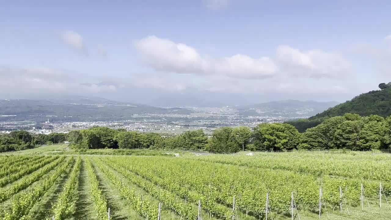 楽天市場】【ふるさと納税】【鹿之助萬蔵】彫刻家がつくる赤白
