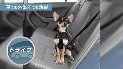 楽天市場】【DEAL限定P15％還元+最大350円クーポン※要取得