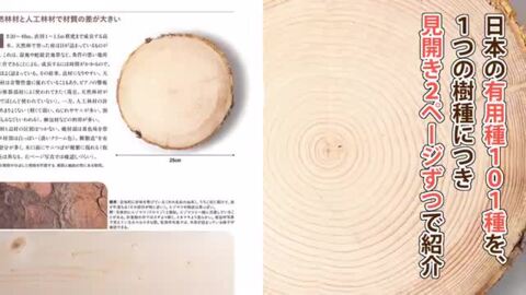 楽天ブックス: 板目・柾目・木口がわかる木の図鑑 - 日本の有用種101