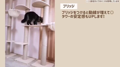 m.co様専用 キャットタワー 天井まで木登りバージョン⑧ のれ