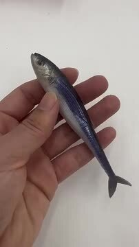 楽天市場】ワーム リアル 3D ソフトルアー リアルベイト