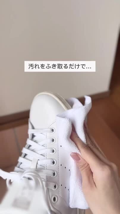 単品25個セット】 エステー 洗浄力 水のいらない スニーカー