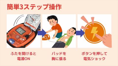 【まとめ買い】単品購入も可能 医学・解剖学関連書籍セット まとめ買い】単品購入も可能 医学・解剖学関連書籍セット