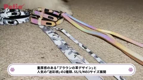 犬用首輪 フラッシュカラー SS 迷彩ブルー | ペティオ オンライン