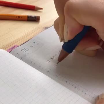 楽天市場】ほぼ日手帳 ほぼ日の下敷き パディントン(TM