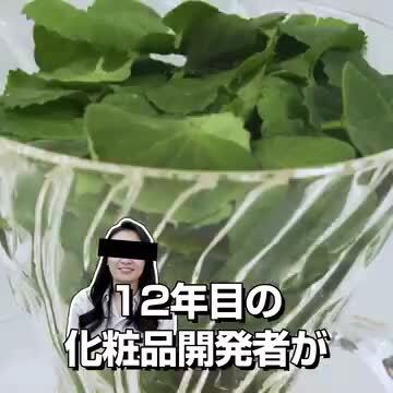 ビープレーン　CICATEROL オールインワン beplain シカテロールオールインワン 200ml | OLIVE YOUNG Global