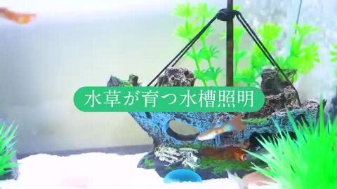 Amazon | EAYHM 水槽 ライトと水草植物育成ライト スタンド 多