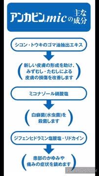 楽天市場】【第2類医薬品】【あす楽15時まで】【10月28日までポイント5倍】剤盛堂薬品・ホノミ漢方アンカビンミック（mic）  40ml(20ml入×2）〜みずむし・いんきんたむし・ぜにたむし〜【ドラッグピュア楽天市場店】【セルフメディケーション対象】【CPT】 : ドラッグ  ...