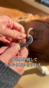 再入荷！3WAY仕様リード【maxbone（マックスボーン）】ゴー