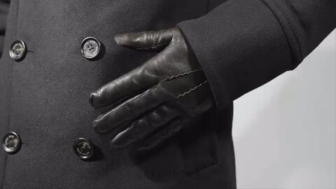 楽天市場】グローブス GLOVES 手袋 レザー グローブ CA060L