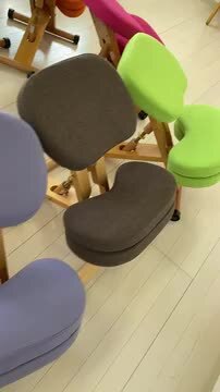 バランスチェア カバー付き バランス イージー 通常フレーム(カバー付き)バランスチェア