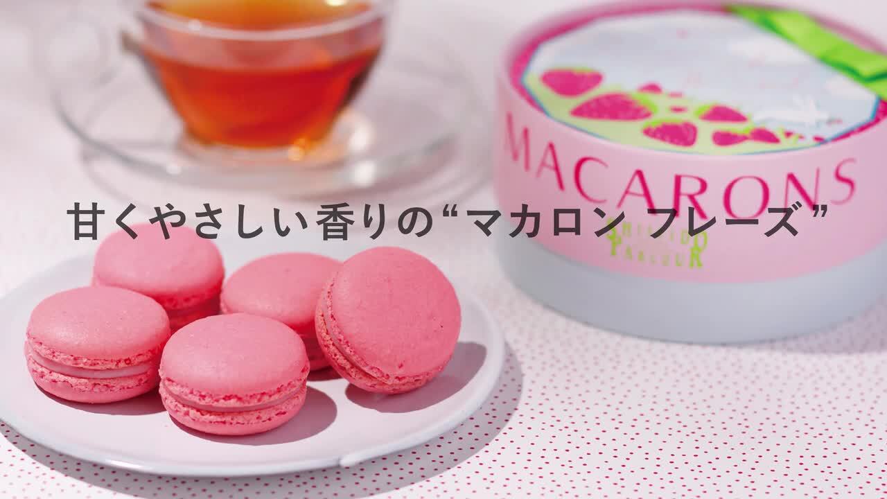 楽天市場】引越し挨拶 お菓子 プチ ギフト 資生堂パーラー