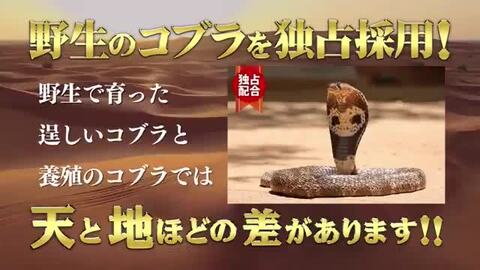 楽天市場】【お買い物マラソン期間限定15％OFFクーポン有】 増大