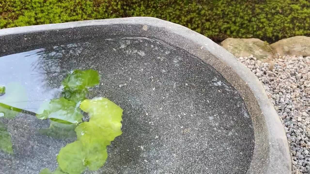 水鉢 おぞましい 石 メダカ鉢 めだか 大型 おしゃれ 庭 つくばい 水鉢 おぞましい 石 メダカ鉢 めだか 大型 おしゃれ 庭 つくばい