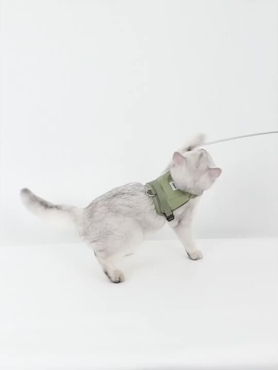楽天市場】猫用軽量ベスト＆ハーネス [M便 1/1] [ねこ 猫 neko