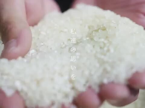 楽天市場】【父の日150円OFFクーポン配布中！】米 10kg 送料無料