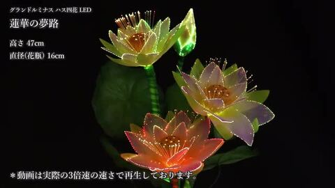 楽天市場】グランドルミナス ハス四花 蓮華の夢路 LED 花 供花 造花