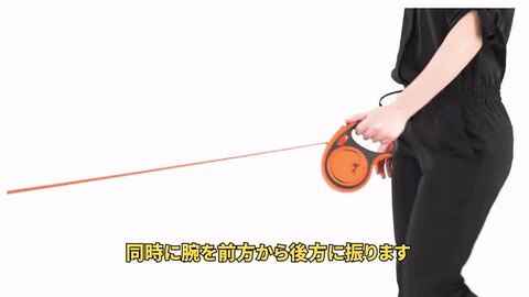 楽天市場】【122円クーポンあり！！】【フレキシ正規代理店