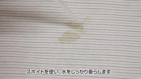 シミ確認用 楽天市場】☆300円OFFクーポン☆【＼針で届ける！シミ取り