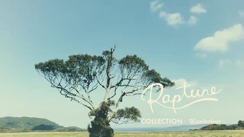 Rapture ラプチャー　セントルーシー　ラフィアバッグ　ショルダー　2way Rapture ラプチャー セントルーシー ラフィアバッグ ショルダー