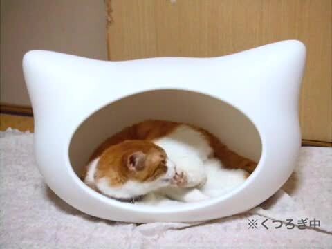 1万円弱・猫型ドームハウス/ねころん白/キャットベッド
