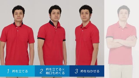 楽天市場】ポロシャツ 半袖 LIFEMAX ライフマックス 2WAYカラー