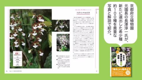 楽天ブックス: さらに知っておきたい日本の絶滅危惧植物図鑑 - 長澤