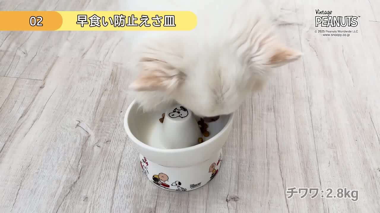 ビンテージ ピーナッツ ドック トレイ 犬用 エサ入れ スヌーピー Lサイズ 赤 楽天市場】スヌーピー（ペット用食器・給水器・給餌器｜ペット