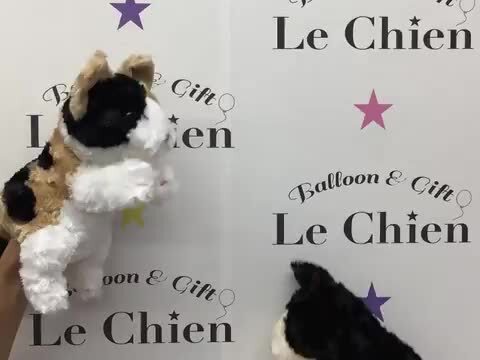 黒猫ダンス 猫パペット 手袋シアター 人形劇 ねこ 猫人形屋敷