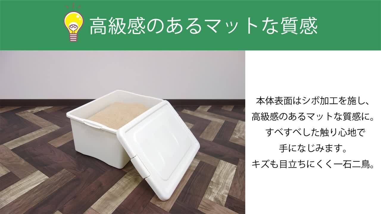 楽天市場】JEJ 収納ボックス フタ付き 限定カラー オリオン L