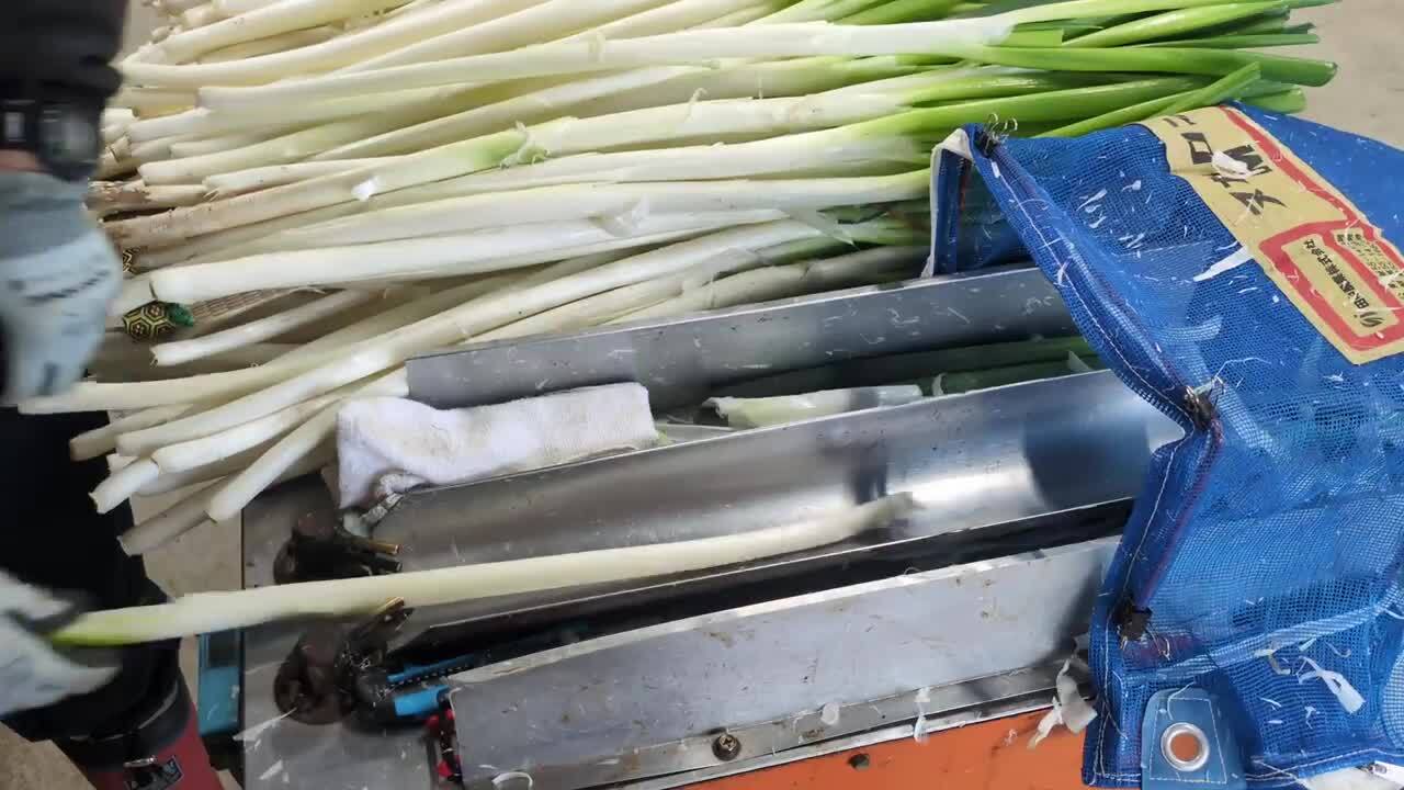 楽天市場】【ふるさと納税】【R7.11月より順次発送】庄内町産 工藤さん