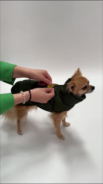 楽天市場】【数量限定！特別価格】Dog Coat Alaska Pro(超防水) ドッグ