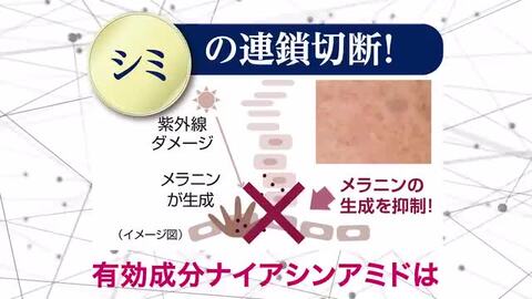 アウトレット！30%OFF】ReFaire ルフェール スモール ラウンド