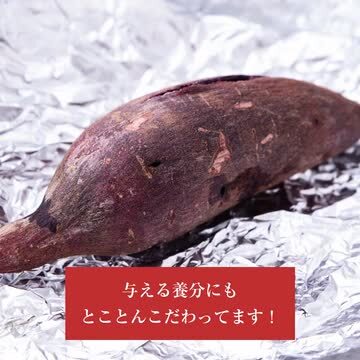 楽天市場】【ふるさと納税】熊本県大津町産 ふくむらさき 5kg《1月下旬